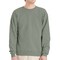 Hanes EcoSmart Unisex Crewneck Sweatshirt P160 Cotton-Poly Blend Fleece for Crafts